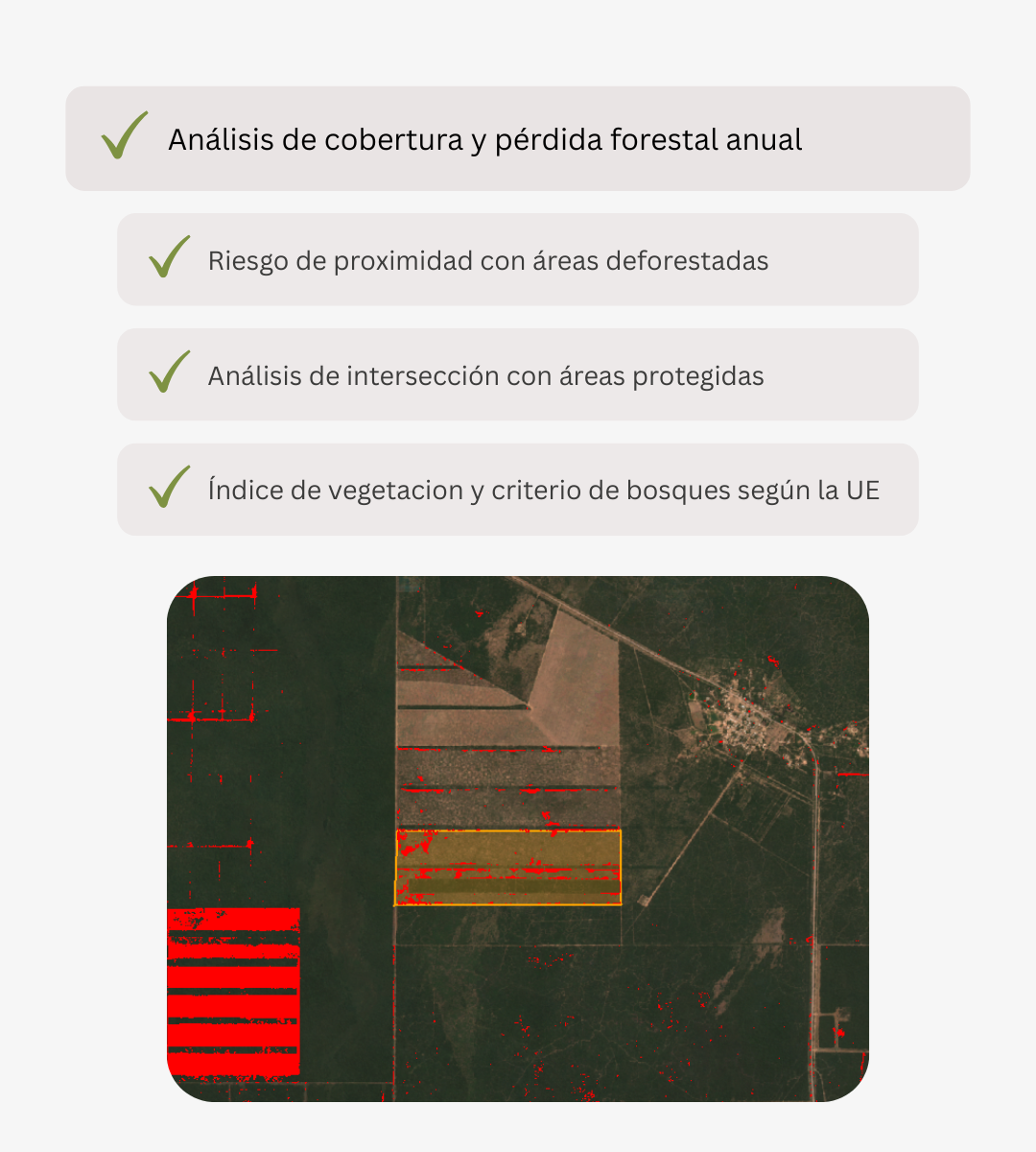 Análisis de deforestación